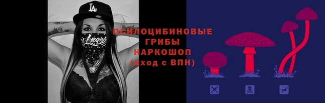 МДПВ Белокуриха