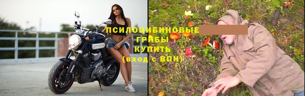 МДПВ Белокуриха