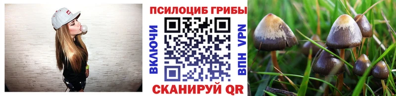 Галлюциногенные грибы мухоморы  Купить закладки  Городец 